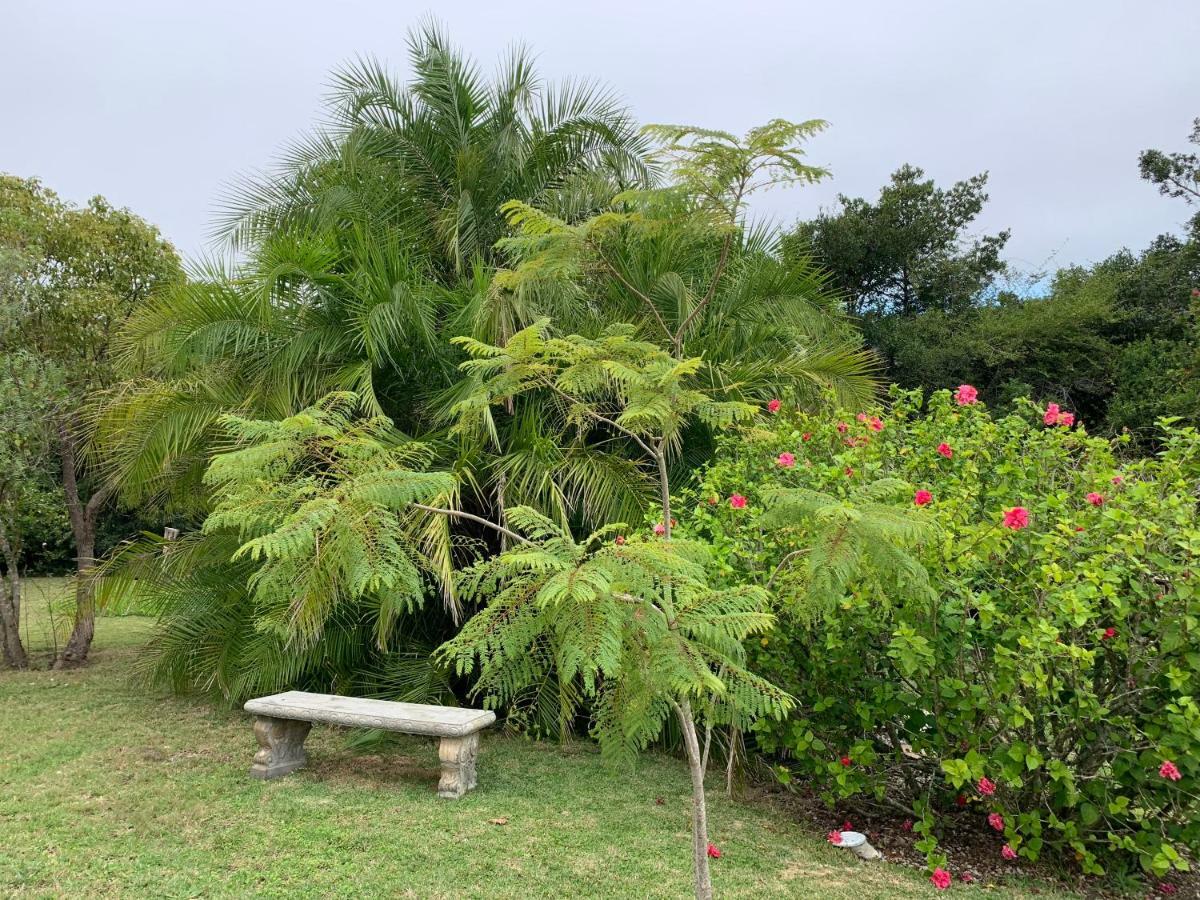 Garden Cottage In Ambiente Guest House Knysna Luaran gambar